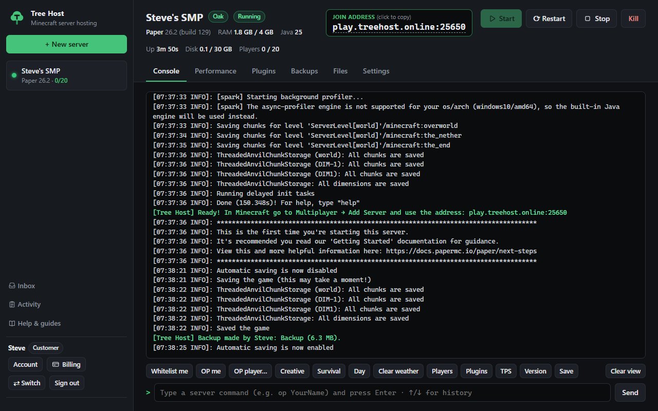 The live server console